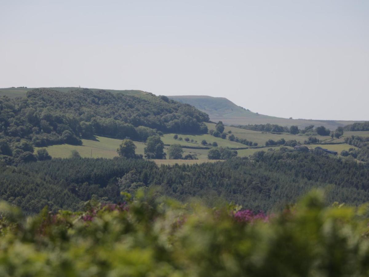 Summerfield Farm Holiday home *